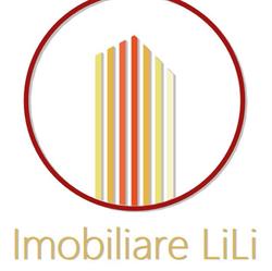Agentia Imobiliara Imobiliare Lmb Lili, Baia Mare program de funcționare