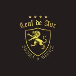 Hotel Leul de Aur Cazare Sebes, program de funcționare