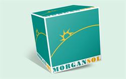 Morgan Sol SRL în Bucureşti, Sector 4 - program de funcționare