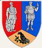 Primaria Comunei Pui, program de funcționare