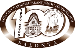 Colegiul Naţional Teodor Neş, Salonta program de funcționare