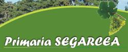 Primaria Orasului Segarcea, program de funcționare