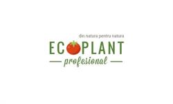 SC Ecoplant Profesional SRL, Izbiceni program de funcționare