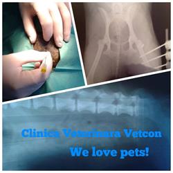 SC Vetcon SRL, Sibiu program de funcționare