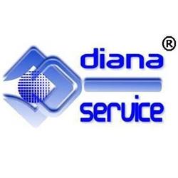 SC Diana Fiscal Service SRL, Satu Mare program de funcționare