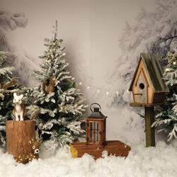 All For Home S.r.l. în Timişoara, Centrul Comercial Alfa - program de funcționare