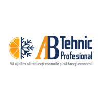 Ab Tehnic Profesional SRL în Bucureşti, Sector 4 - program de funcționare