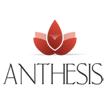 S.c. Anthesis International S.r.l, Bucureşti program de funcționare