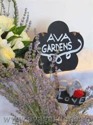 Ava Gardens în Bucureşti, Sector 2 - program de funcționare