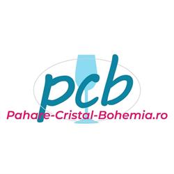 Bohemia S.r.l., Valea Lupului program de funcționare