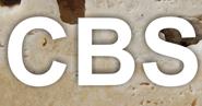 C.B.S. S.A, Satu Mare program de funcționare