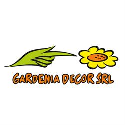 Gardenia Decor, Odorheiu Secuiesc program de funcționare