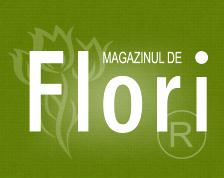 Magazinul de Flori în Bucureşti, Sectorul 1 - program de funcționare