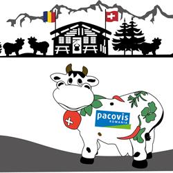 Pacovis România S.r.l, Târgu Mureş program de funcționare