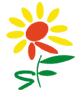 Romanian Flower Shop în Bucureşti, Sector 3 - program de funcționare