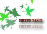 Succes Maxim S.r.l, Mogoşoaia program de funcționare