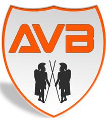 Avb Sisteme SRL, Timişoara program de funcționare