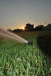 Gardensis în Timişoara, Timis - program de funcționare