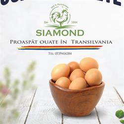Siamond Prod S.r.l, Cluj-Napoca program de funcționare