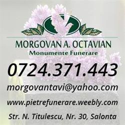 Morgovan Octavian, Salonta program de funcționare