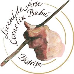 Liceul de Arte Plastice Corneliu Baba, Bistriţa program de funcționare