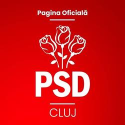 Partidul Democrat Cluj-Napoca, program de funcționare