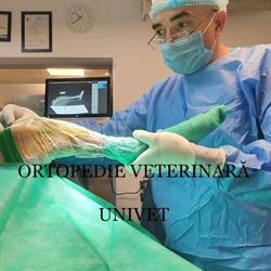 Univet S.r.l în Iaşi, Cartier Tatarasi - program de funcționare