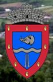 Primăria Bustuchin, program de funcționare