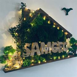 Samgec SRL, Satu Mare program de funcționare