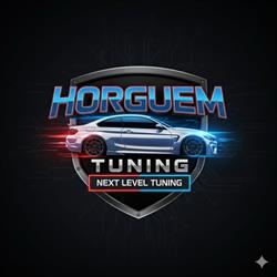 Horguem SRL, Oradea program de funcționare