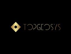 Topgeosys, Suceava program de funcționare