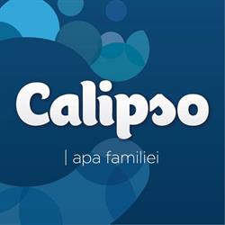 SC Calipso SRL, Voluntari program de funcționare