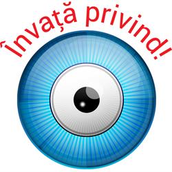 Soft EDU în Timişoara, Timis - program de funcționare