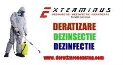 Exterminus srl în Voluntari, Pipera - program de funcționare