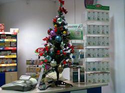 SC Alchemilla SRL, Cluj-Napoca program de funcționare