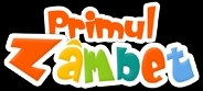 Primul Zambet, Satu Mare program de funcționare