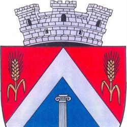 Primaria Orasului Ludus, program de funcționare