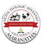 Liceul Teologic Adventist "maranatha", Cluj-Napoca program de funcționare