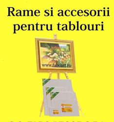 Fabo Art Iasi SRL, program de funcționare