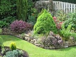 Coman Spatii Verzi SRL, Săcălaz program de funcționare