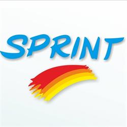 S.c. Sprint Car Distribution S.r.l., Voluntari program de funcționare