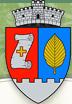 Primăria Voivodeni, program de funcționare