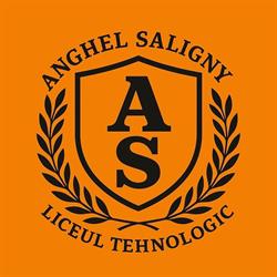 Colegiul Tehnic "anghel Saligny"bacau, Bacău program de funcționare