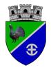 Primaria Avrig, program de funcționare