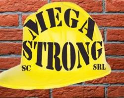 SC Mega Strong SRL în Arad, Micalaca - program de funcționare