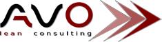 SC Avo Lean Consulting SRL, Alba Iulia program de funcționare
