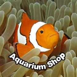 S.c. Aquarium Shop S.r.l., Timişoara program de funcționare