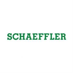 Schaeffler România S.r.l., Cristian program de funcționare