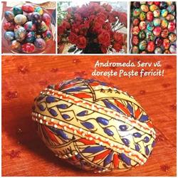 Andromeda Serv SRL, Constanţa program de funcționare