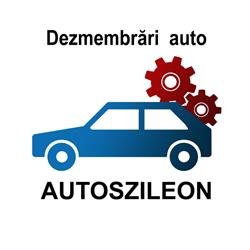Autoszileon SRL, Sântana de Mureş program de funcționare